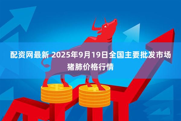 配资网最新 2025年9月19日全国主要批发市场猪肺价格行情